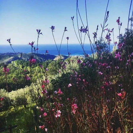 Masseria Cata Catascia Frühstückspension