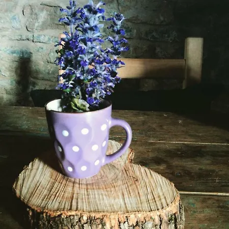 Frühstückspension Masseria Cata Catascia Tortorella